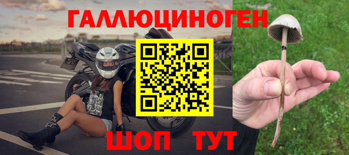 Кострома  Галлюциногенные грибы Psilocybine cubensis  Вход с VPN 